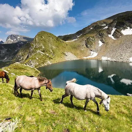 Studio-incanto Park-borovets